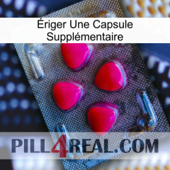 Ériger Une Capsule Supplémentaire 13